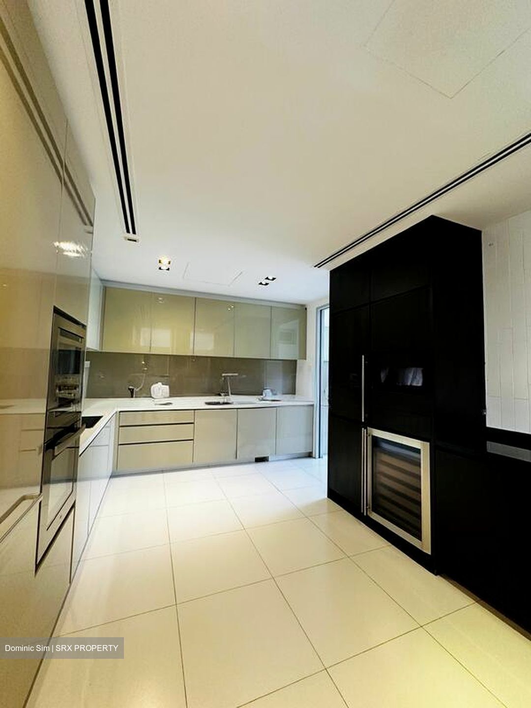Sky@Eleven (D11), Condominium #520024991